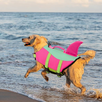 Golden Retriever running on beach wearing pink teal shark fin dog life vest