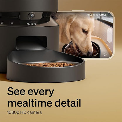 See every mealtime detail - 1080p HD camera showing Golden Retriever eating from stainless steel bowl