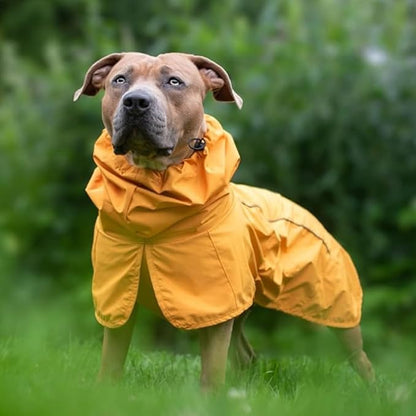 Brown Pit Bull wearing yellow waterproof dog raincoat outdoors in green grass