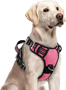No-Pull Adjustable Dog Harness with Support Handle