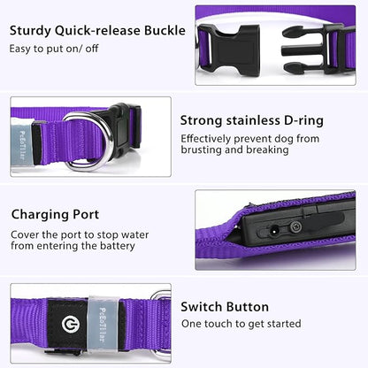 LED Rechargeable Dog Collar – 7-Color Glow Safety Collar