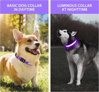 LED Rechargeable Dog Collar – 7-Color Glow Safety Collar