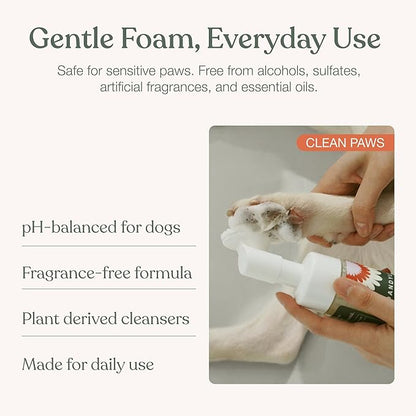 Dandylion Clean Paws gentle foam everyday use - pH balanced fragrance free