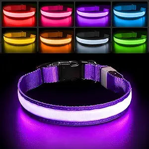LED Rechargeable Dog Collar – 7-Color Glow Safety Collar