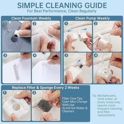 Simple cleaning guide - clean fountain and pump weekly, replace filter and sponge every 2 weeks