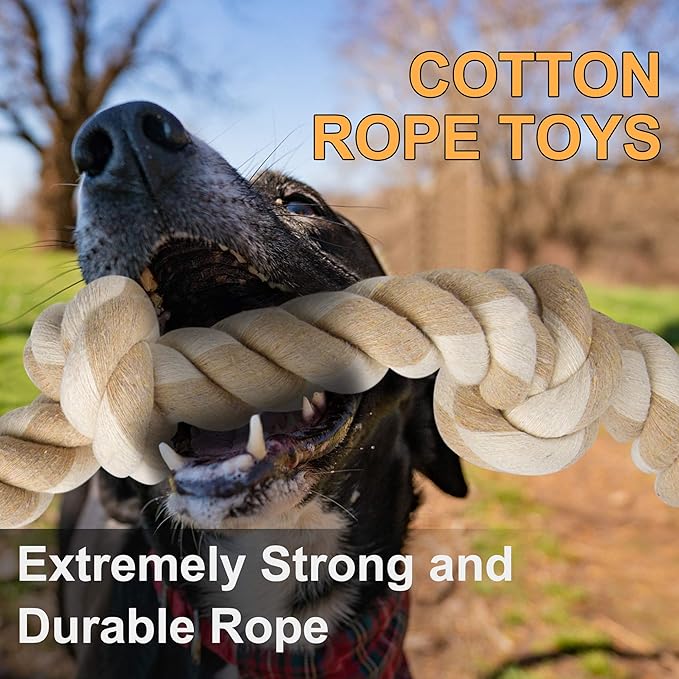 Black dog chewing cotton rope toy - extremely strong and durable rope for aggressive chewers