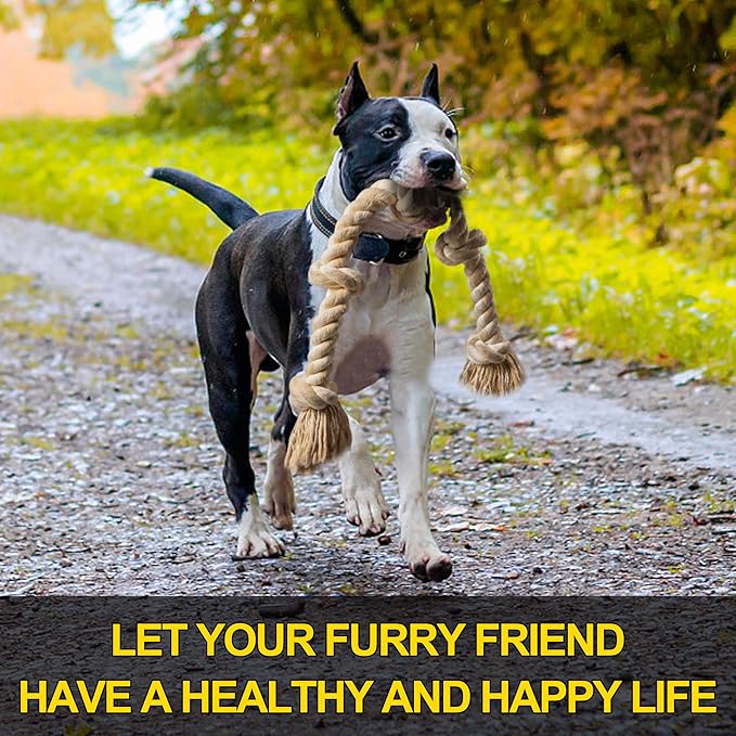 Pitbull running outdoors carrying large cotton rope toy - let your furry friend have a healthy and happy life