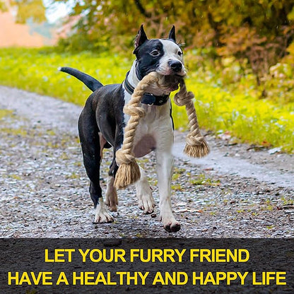Pitbull running outdoors carrying large cotton rope toy - let your furry friend have a healthy and happy life