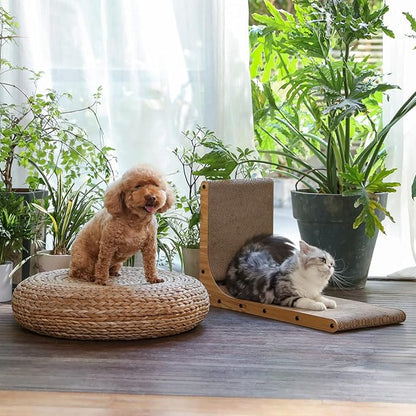 Tabby cat using L-shaped scratcher with small poodle sitting nearby on woven cushion - indoor garden setting