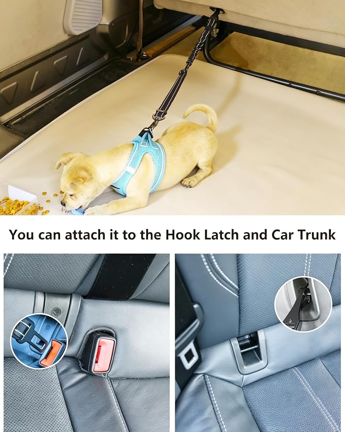 AUBELL dog seatbelt attached to hook latch and car trunk with dog in car