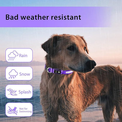 LED Rechargeable Dog Collar – 7-Color Glow Safety Collar