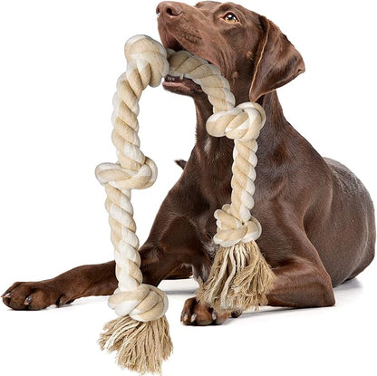 Chocolate Labrador holding large 36 inch cotton rope toy with multiple knots and tasseled ends