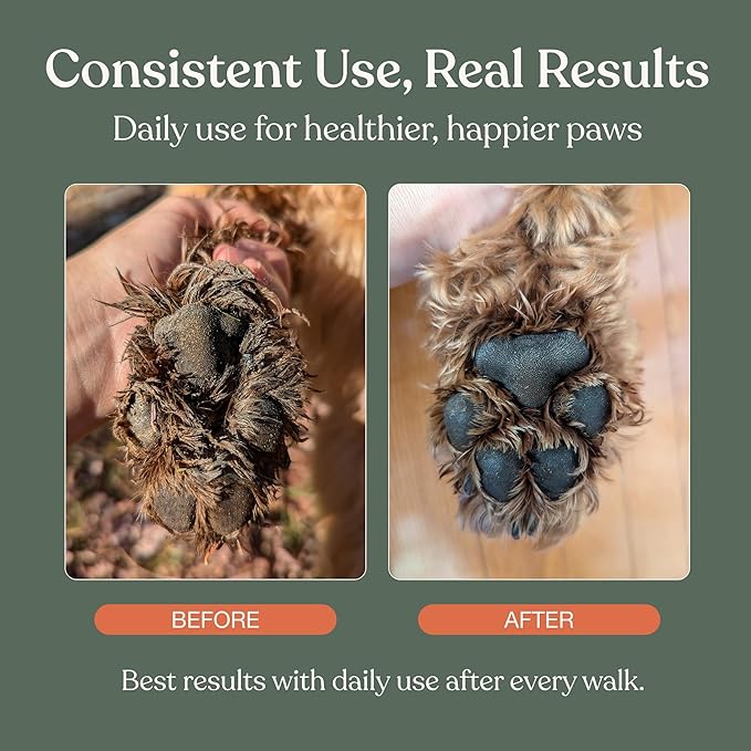 Dandylion Clean Paws before and after consistent use real results