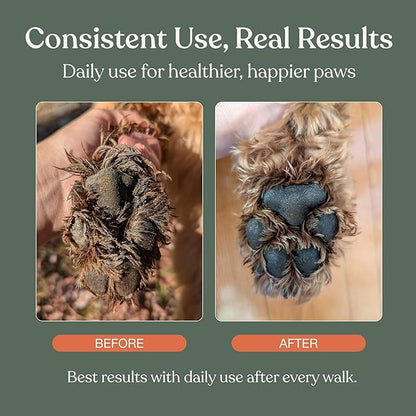 Dandylion Clean Paws before and after consistent use real results
