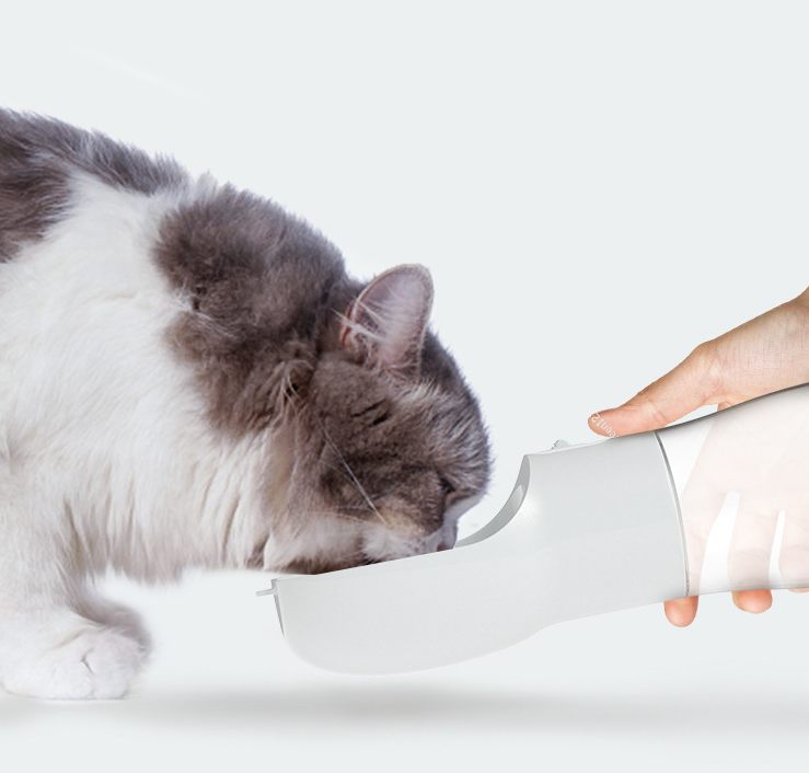 Portable Water &amp; Food Bottle