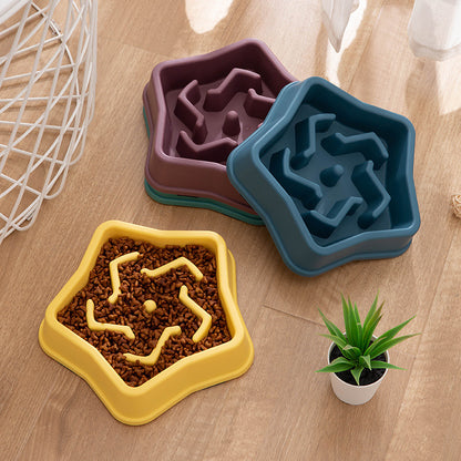 Colorful Pet Bowl